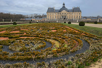 Les buis morts des jardins de Vaux-le-Vicomte